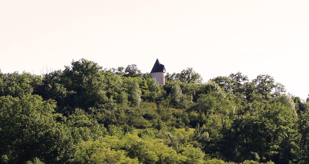 Moulin De Rouzé Villa Castelnaud-de-Gratecambe Buitenkant foto